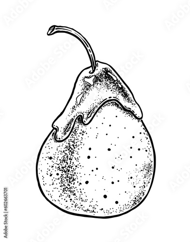 Vector sketch illustration of caramelized pear
