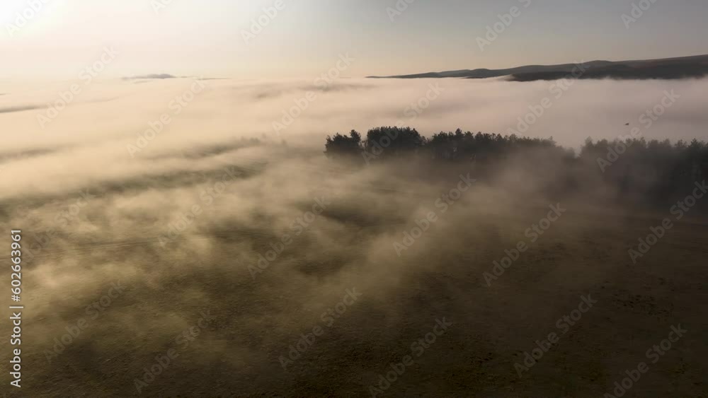 Foggy morning or evening over a meadow plain with trees, a bird's eye view landscape. Sunbeams breaking through the clouds Foggy morning or evening over a meadow plain with trees, a bird's eye view landscape. Sunbeams breaking through the clouds