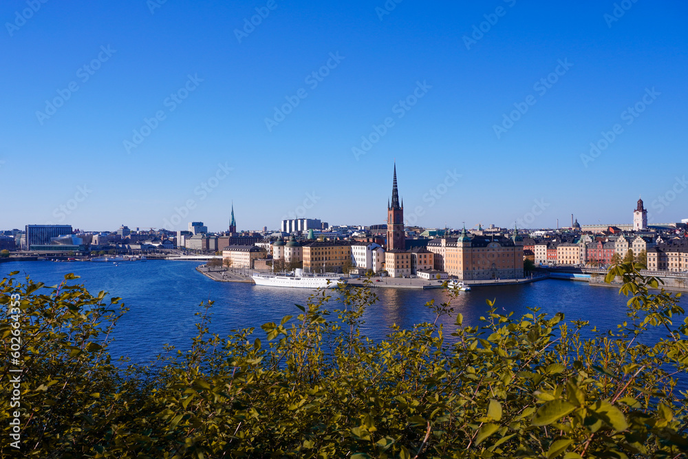 Fototapeta premium charles bridge city