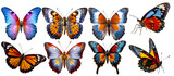 Butterfly Butterflies, many angles and view frontal side head shot isolated on white background cutout. PNG file.