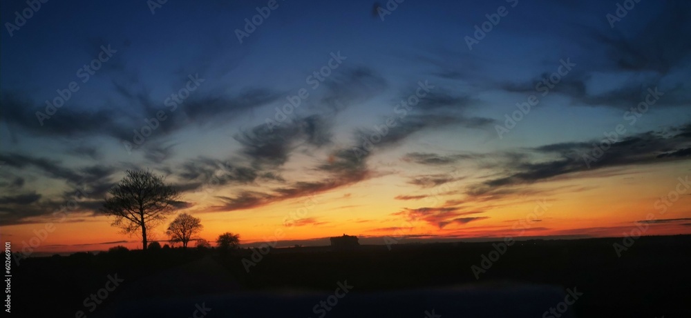 Fototapeta premium sunset in the fields