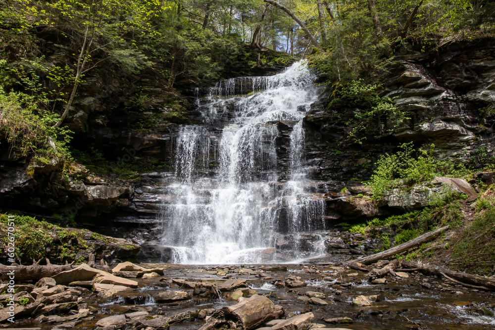Fototapeta premium Nature's Staircase: A Grand Pennsylvania Waterfall Cascading Across Multiple Rock Levels Amidst Lush Green Foliage