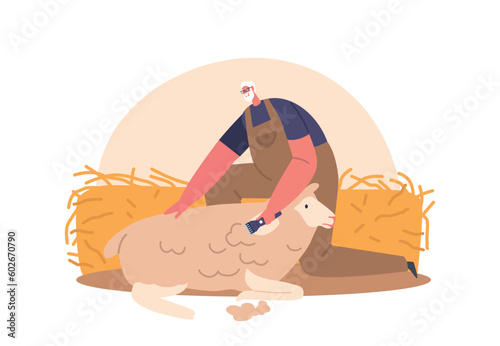 Farmer Sheepshearer Shears Wool From Sheep In Barn To Sell Or Use For Textiles. Male Character Using Sharp Shears