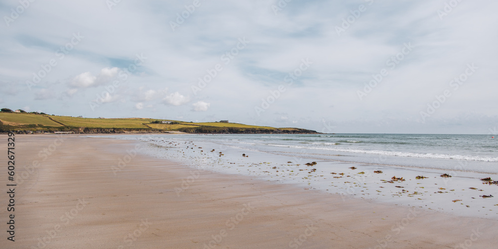 Sandy Irish beach on a summer day. Seaside landscape of Ireland. Seaweed on the sandy shore after low tide.