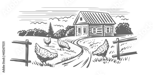 countryside landscape with chicken. Farm sketch