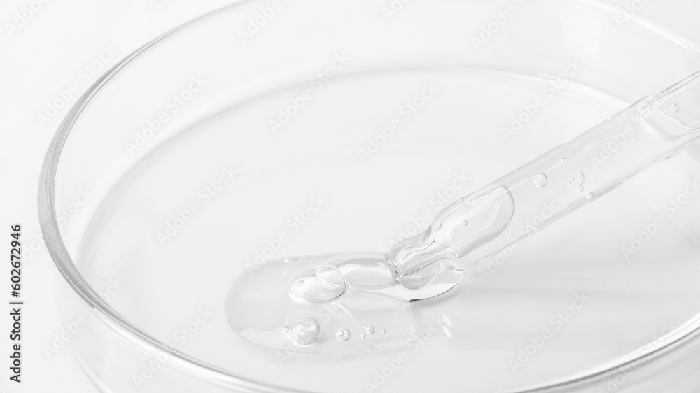 Transparent gel flowing from a pipette into a Petri dish. On a white background. Close-up. Transparent gel flowing from a pipette into a Petri dish. On a white background. Close-up.