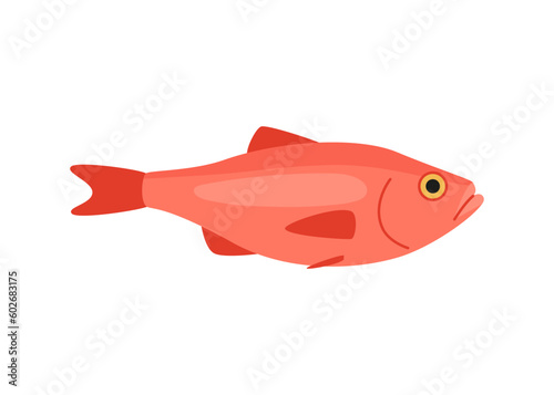 Seabass perch marine cartoon, seafood and underwater animal. Aquatic delicacy, gourmet. Fishery. Vector illustration isolated
