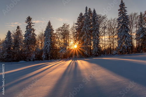 road in winter © pizgacz