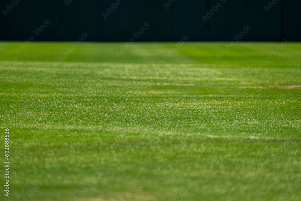 野球場の外野の芝生と内野グランドの境目と白線