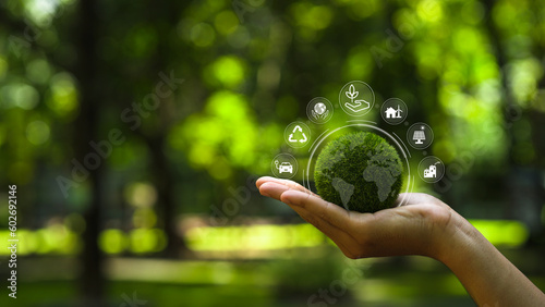 Hand holding a green globe in the concept of nature about management esg.