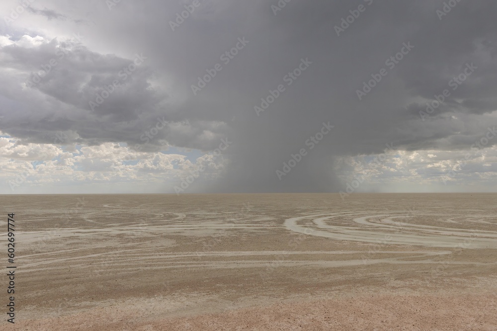 scenic rain clouds over the etosha pan in namibia