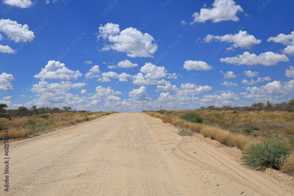 empty gravel road in Namibia empty gravel road in Namibia