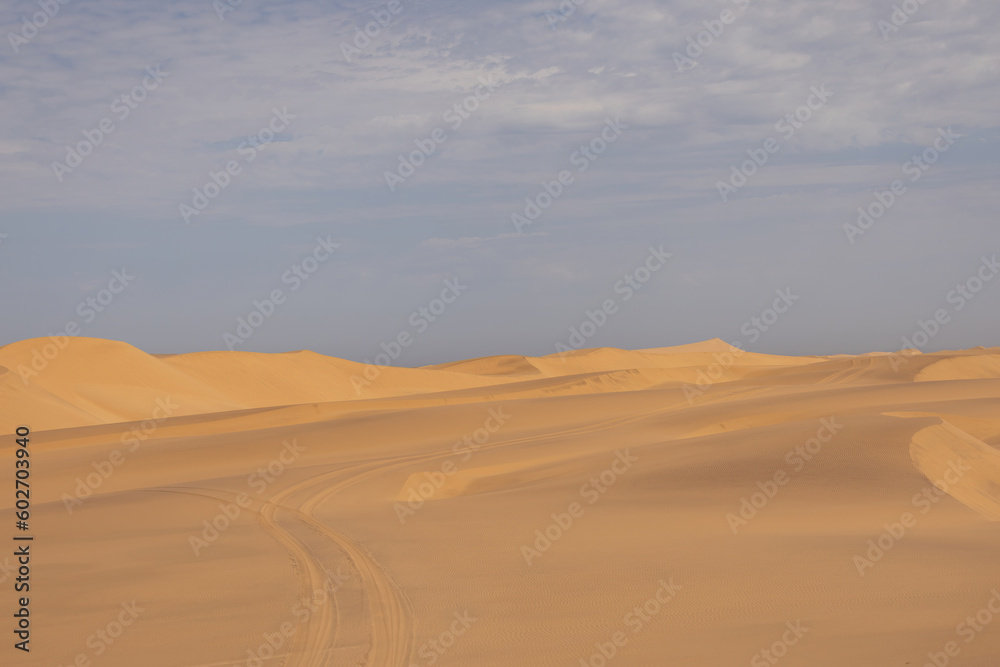 scenic view of the Namib Desert
