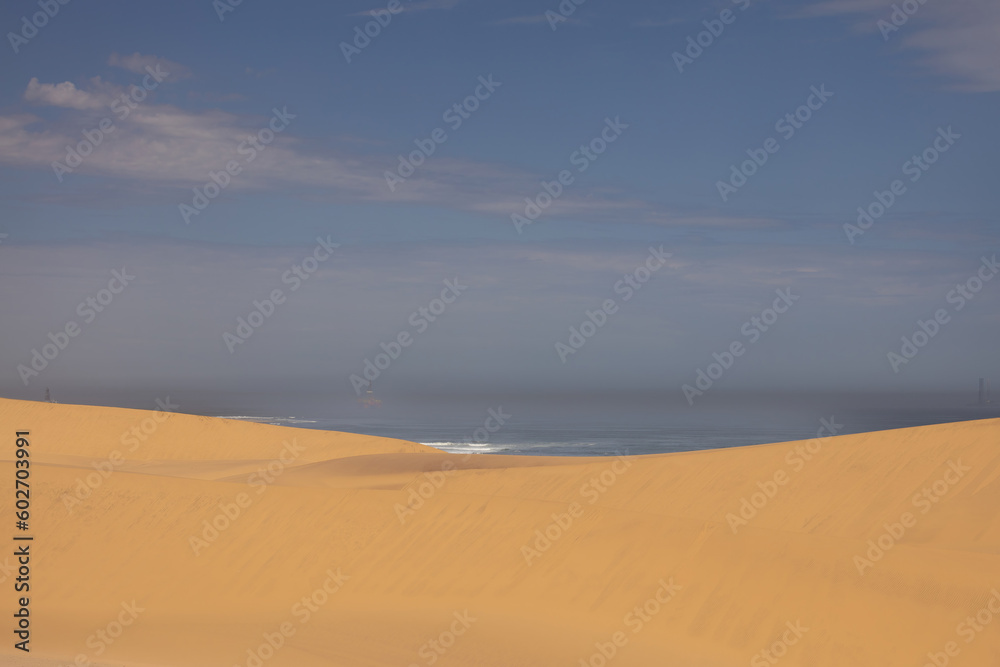scenic view of the namib desert with the atlantic ocean in the background