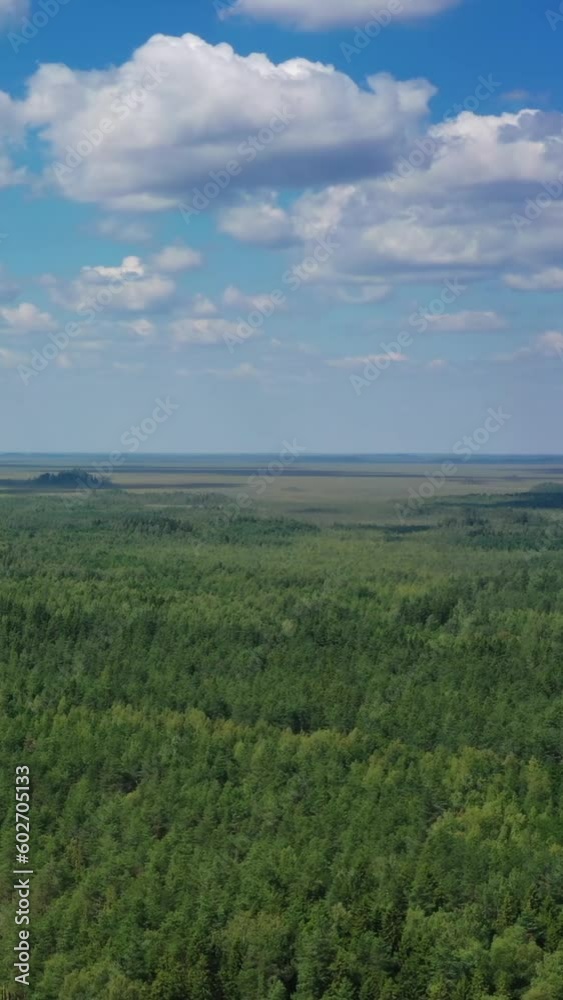 Aerial top view landscape with north forest at summer. Vertical video Aerial top view landscape with north forest at summer. Vertical video