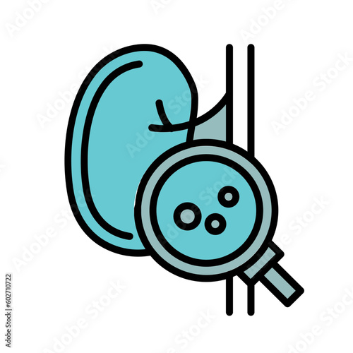 Kidney Checkup Icon Design