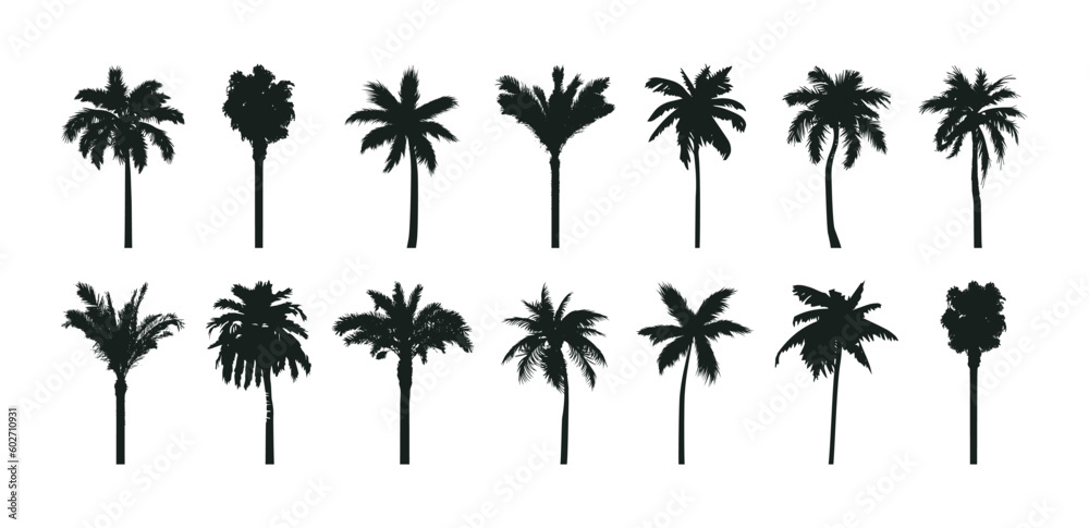 Palm trees silhouettes set. Various hand-drawn tropical palms collections. Vector illustrations.