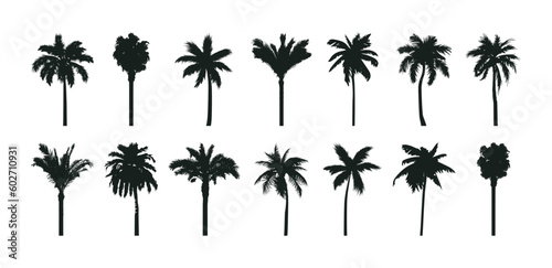 Palm trees silhouettes set. Various hand-drawn tropical palms collections. Vector illustrations.