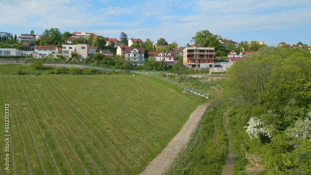 Scenic Aerial Drone View of Prague Houses with Young Vineyard in the Foreground Scenic Aerial Drone View of Prague Houses with Young Vineyard in the Foreground