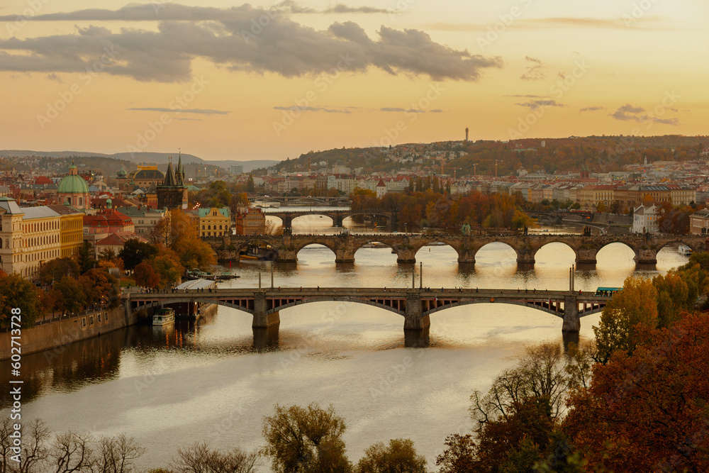 landscape with Vltava river and Charles Bridge - obrazy, fototapety, plakaty 