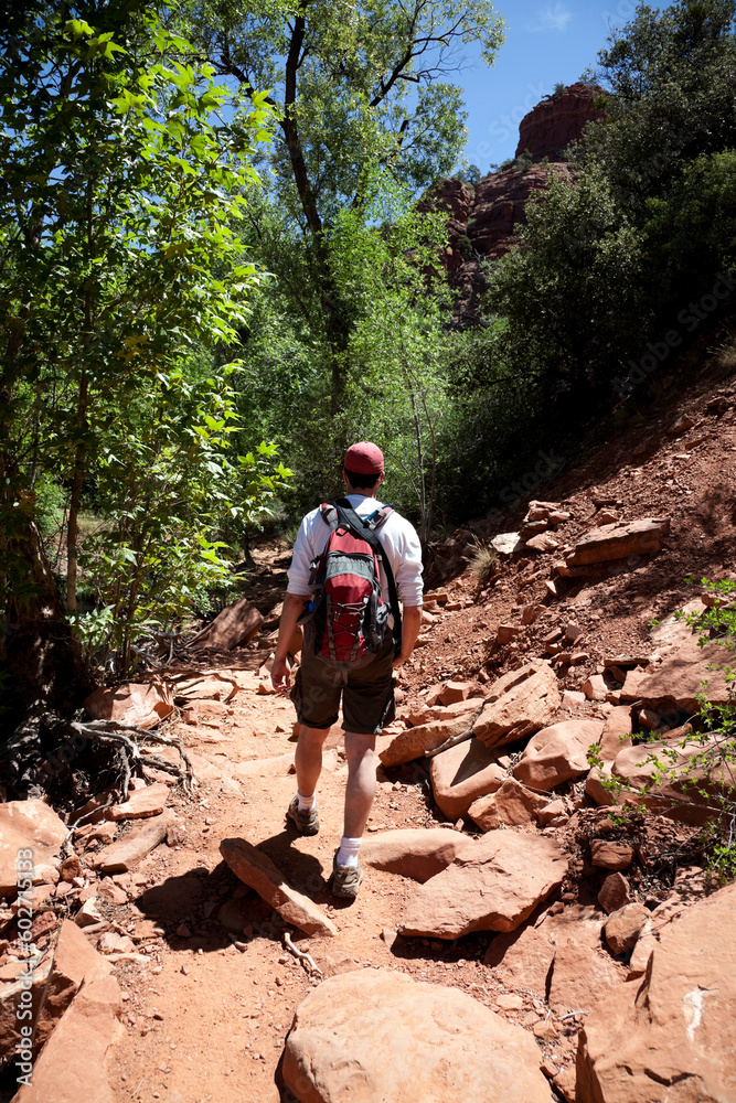 Naklejka premium Adult Male Hiking in the Sedona Desert in Arizona