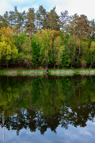 Spring forest on the shore of the lake