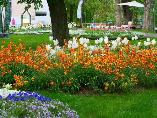 Impressionen von der Landesgartenschau in Balingen in Baden-Württemberg mit vielen bunten Blumenbeeten photo