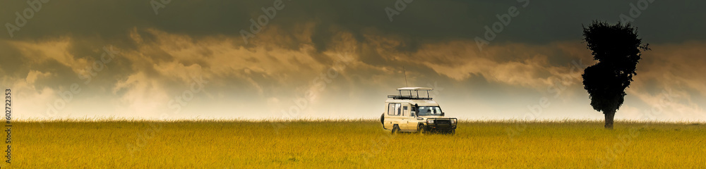 Fototapeta premium A panorama image of a safari vehicle on the lush grass on the Masai Mara savanna, Kenya