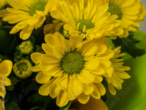 Bouquet of yellow daisies on a yellow background. Yellow flowers.