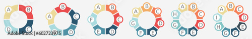Circle divided into equal segments, version with four to nine parts. Simple infographics element