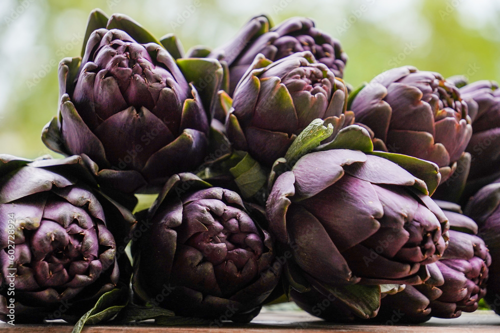 Obraz premium Beautiful Globe Artichokes (Cynara cardunculus var. scolymus), also known by the names French artichoke and green artichoke, in colors of green and purple, piled up on a wooden table 