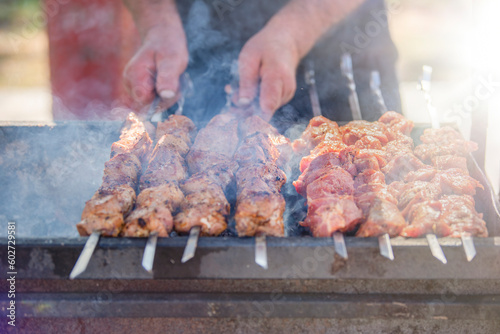 A man fries kebabs on skewers on a grill. Organization of a picnic in nature.