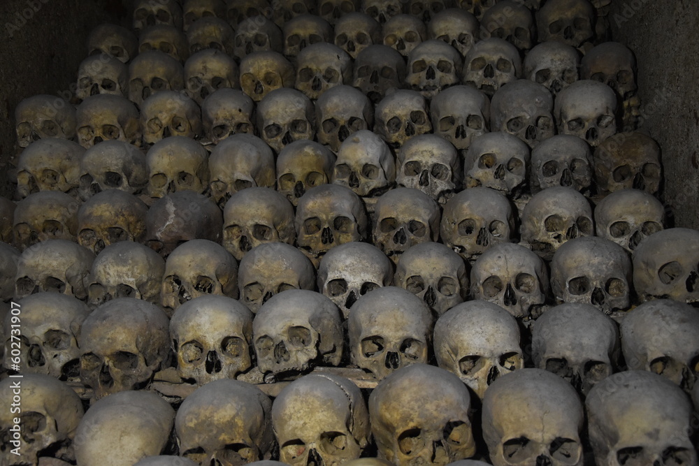 Obraz premium Czaszki Brno