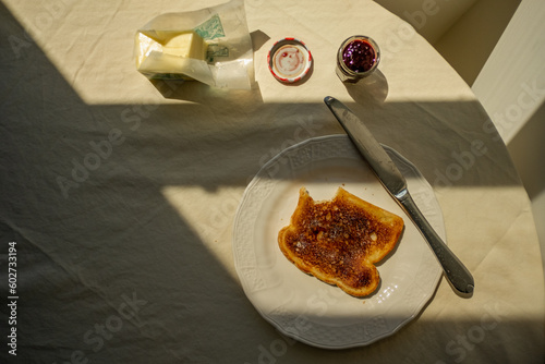 Toast on white background