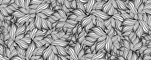 Abstract black white coloring leaf floral flower pattern vector background illustration