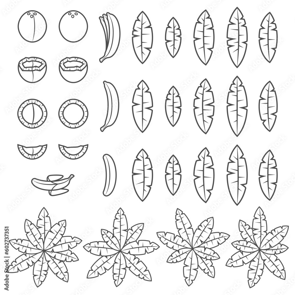 Set of black and white illustration with tropical palm, leaves, coconut and banana. Isolated vector object on white background.