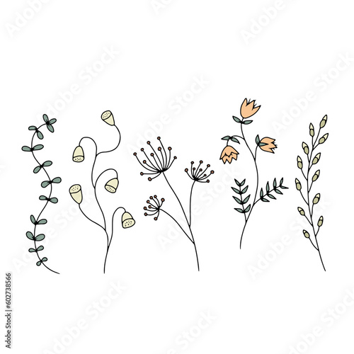 Hand drawn wild flowers illustrations set isolated on white background. Minimalist floral doodles, muted earthy colors.