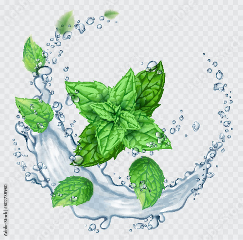 Transparent realistic vector  water splash and mint leaves on light background