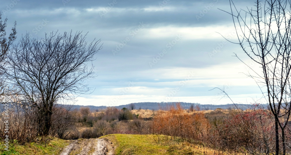 An autumn landscape with a dirt road to the forest and a dark overcast sky. A gloomy autumn day that causes depression.