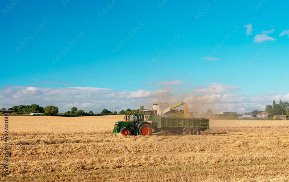 Fototapeta premium Wheat harvesting in the summer season by a modern combine harvester. Farmers securing food supply and feeding the nation