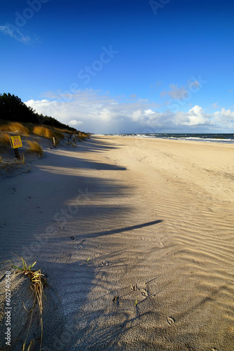 Obraz na płótnie Sandy beach by the sea w salonie