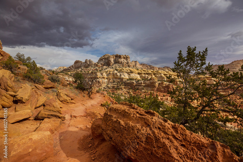 Utah landscapes