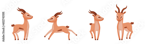 African Wild Gazelle with Long Horns and Hoofs Vector Set