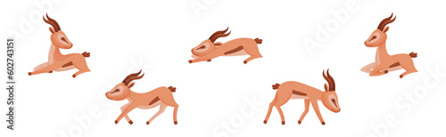 African Wild Gazelle with Long Horns and Hoofs Vector Set