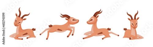African Wild Gazelle with Long Horns and Hoofs Vector Set