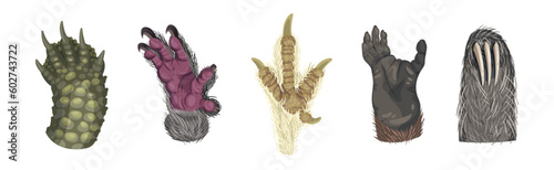 Animal Paw and Animalistic Pets Claw Vector Set