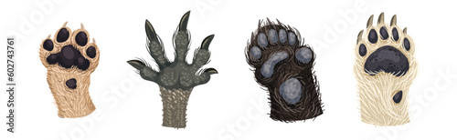 Animal Paw and Animalistic Pets Claw Vector Set