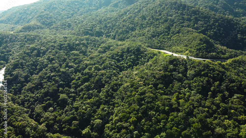 Estrada que atravessa a serra em sentido a Bertioga, Sp, Brasil.