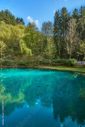 Blue water spring Vrelo reke Mlave izvor - Source of river Mlava - Beautiful nature 