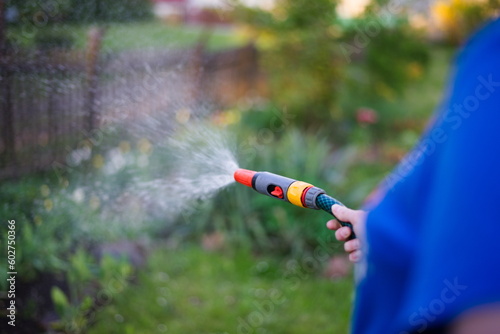 woman watering flowers
